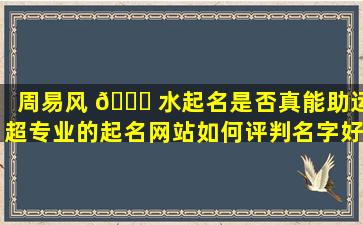 周易风 🐅 水起名是否真能助运超专业的起名网站如何评判名字好坏